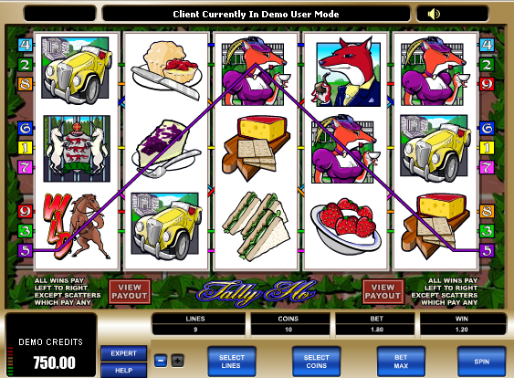 TallyHo free slot machine game