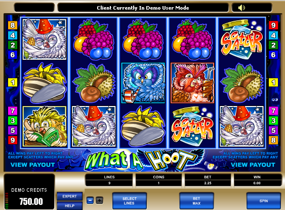 What a Hoot free slot machine game